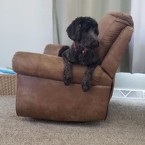 Meet your Posher, Lisa